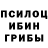 Псилоцибиновые грибы GOLDEN TEACHER Felismur