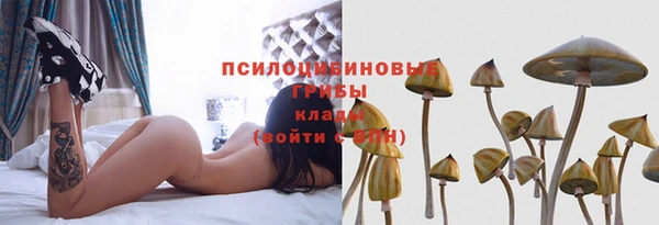 spice Кинешма