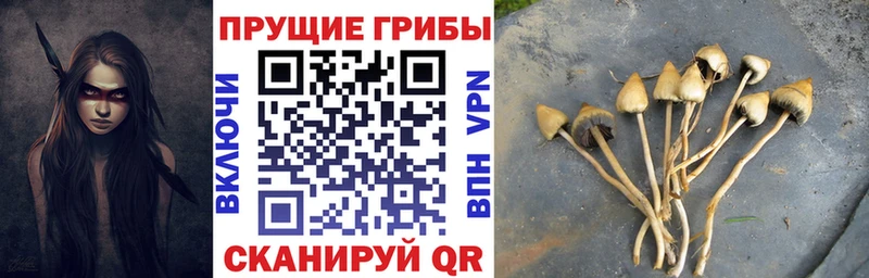 цена   Новотроицк  Псилоцибиновые грибы ЛСД 