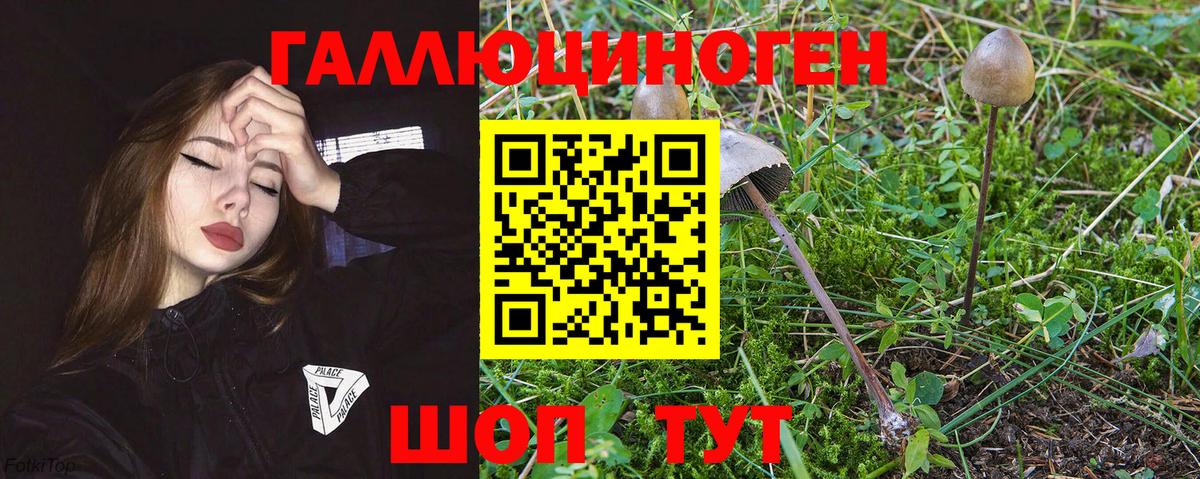 Новотроицк  Псилоцибиновые грибы GOLDEN TEACHER  Вход с VPN 