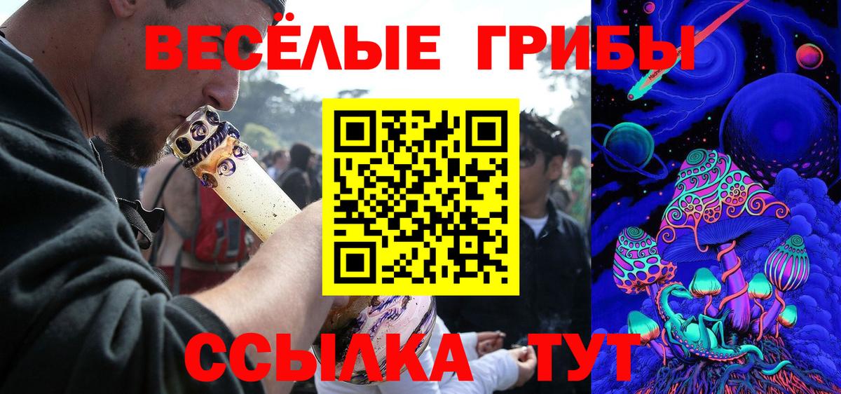 Галлюциногенные грибы GOLDEN TEACHER Новотроицк