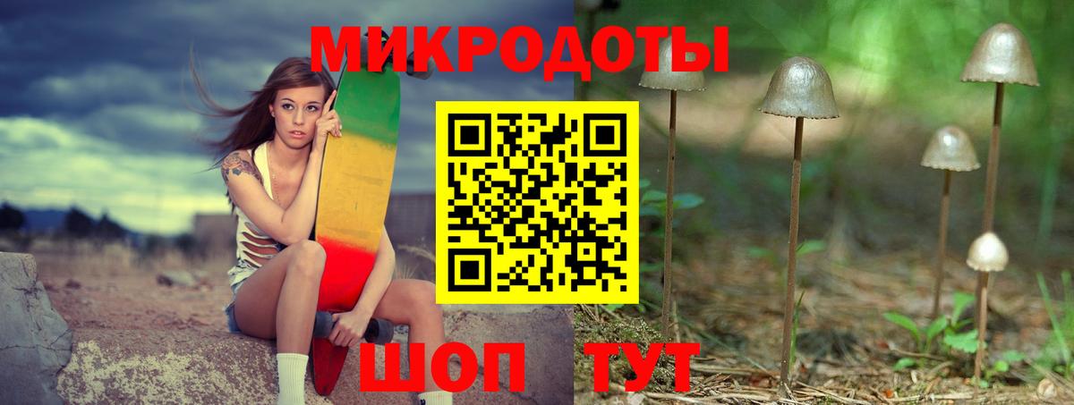 Галлюциногенные грибы Psilocybine cubensis Новотроицк